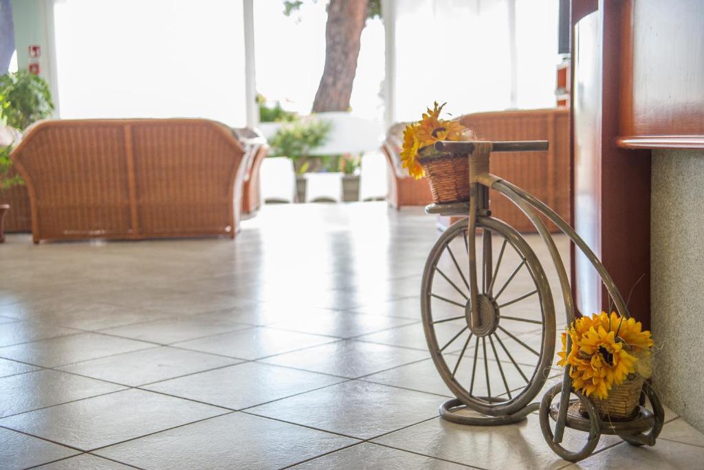 Ciccio Hotel Misano Adriatico Bagian luar foto
